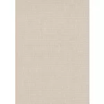 Bézs csillogó texturált egyszínű (lángálló, mosható) vlies-vinyl tapéta