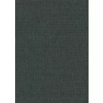 Fekete csillogó texturált egyszínű (lángálló, mosható) vlies-vinyl tapéta