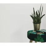 Törtfehér lenes textúrájú egyszínű (lángálló, mosható) vlies-vinyl tapéta