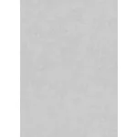 Elysium enyhén csillogó egyszínű halványszürke (lángálló, mosható) vlies-vinyl tapéta