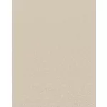 Bézs textúrájú egyszínű (lángálló, mosható) vlies-vinyl tapéta