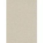 Halvány bézs alapon csillámos egyszínű strukturált vlies-vinyl tapéta