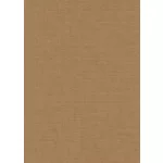 Barna alapon ezüst csillámos egyszínű strukturált vlies-vinyl tapéta