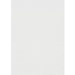 Forest Dreams: Törtfehér egyszínű texturált (lángálló, mosható) vlies-vinyl tapéta