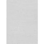 Forest Dreams: Halványszürke egyszínű texturált (lángálló, mosható) vlies-vinyl tapéta