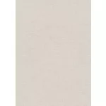 Forest Dreams: Hideg halványbarna egyszínű texturált (lángálló, mosható) vlies-vinyl tapéta