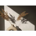 Ritus: Törtfehér-bézs vakolatmintás egyszínű matt texturált (mosható) vlies-vinyl tapéta