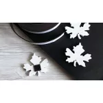 Öntapadós mágnes szalag (1,8 cm széles, 3 méter hosszú tekercsben)