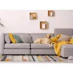 Modoo (Állatbarát, Easy clean) könnyen tisztítható mikrobársony bútorszövet - 22 fajta színben